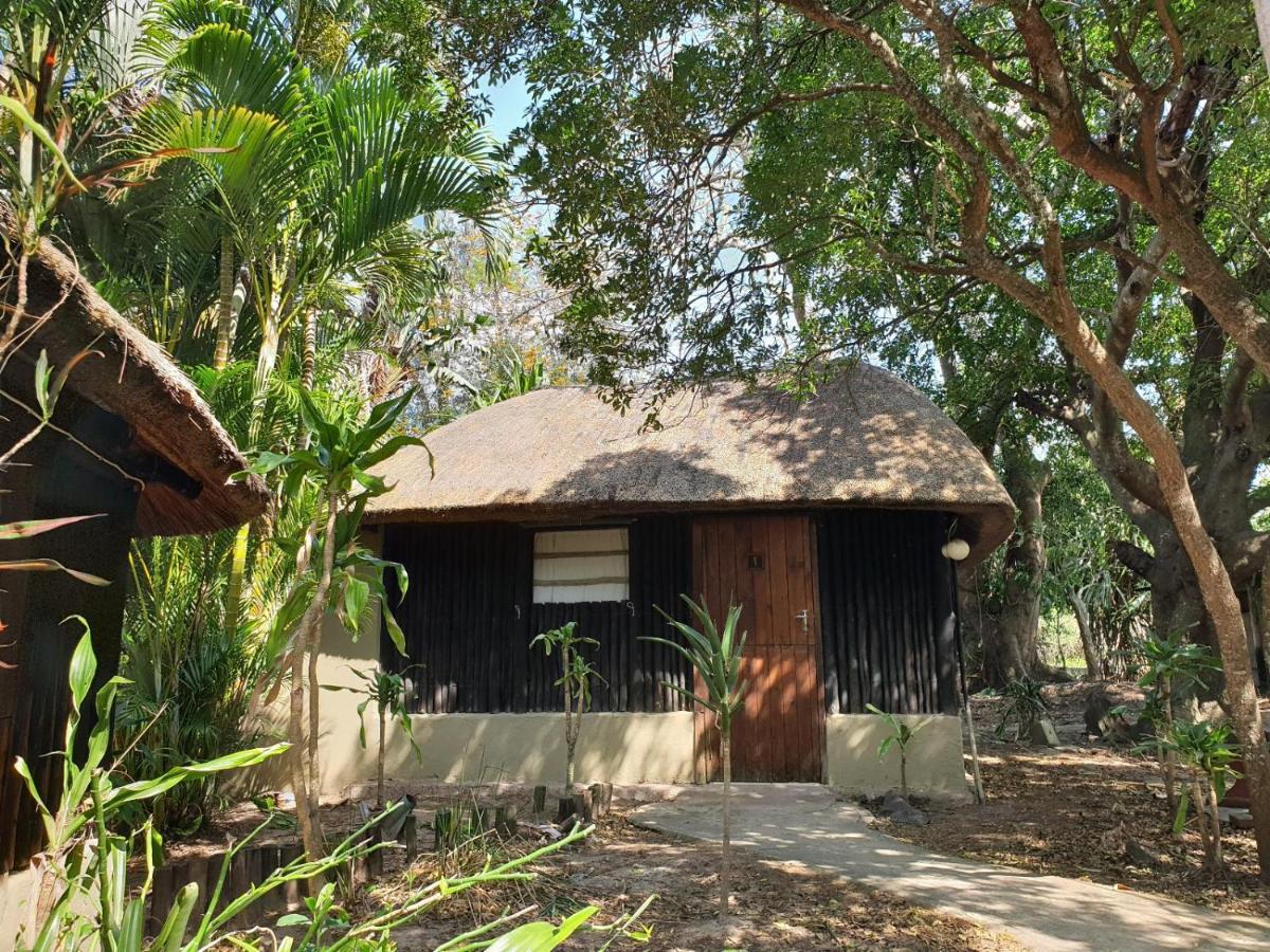 Pumusa Bushcamp Hluhluwe Ngoại thất bức ảnh