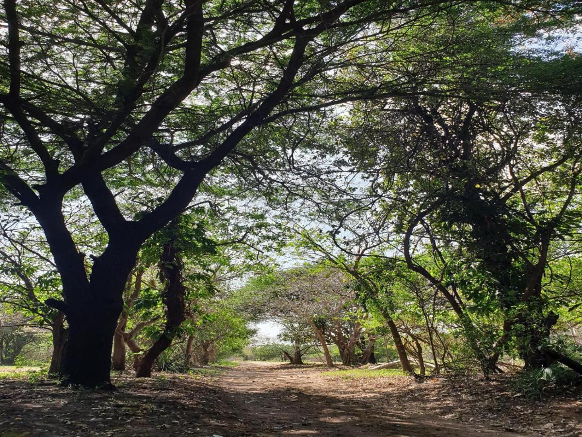 Pumusa Bushcamp Hluhluwe Ngoại thất bức ảnh
