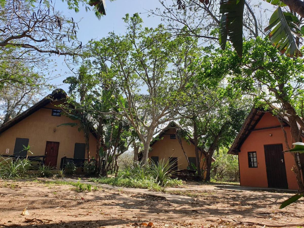 Pumusa Bushcamp Hluhluwe Ngoại thất bức ảnh