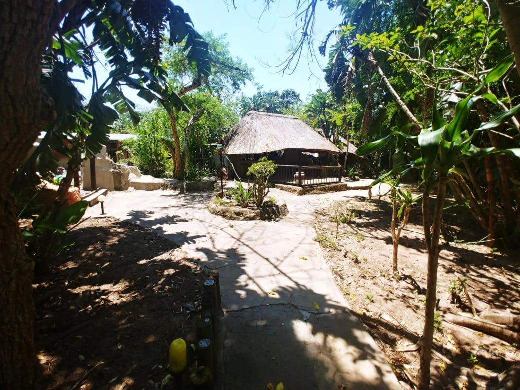 Pumusa Bushcamp Hluhluwe Ngoại thất bức ảnh