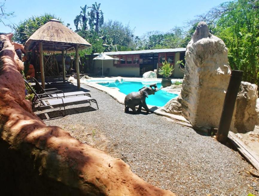 Pumusa Bushcamp Hluhluwe Ngoại thất bức ảnh