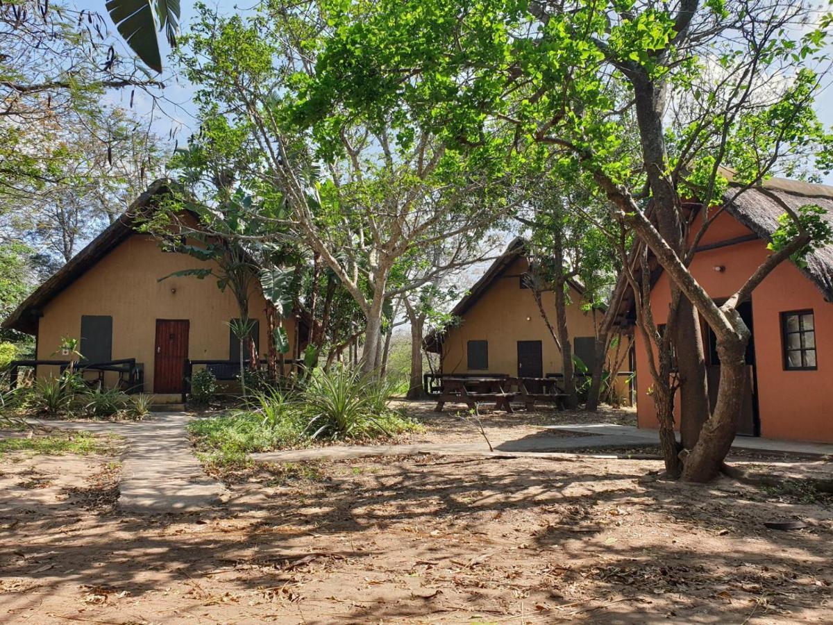 Pumusa Bushcamp Hluhluwe Ngoại thất bức ảnh